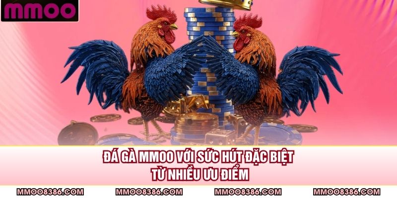 Đá gà MMOO với sức hút đặc biệt từ nhiều ưu điểm