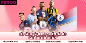 Kèo Tài Xỉu Là Gì? Kinh Nghiệm Đặt Kèo Bách Chiến, Bách Thắng