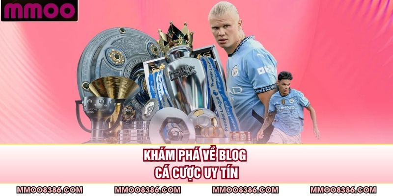 Khám phá về blog cá cược uy tín