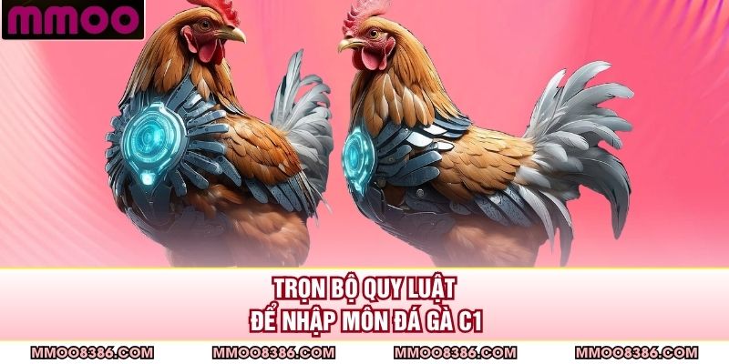 Trọn bộ quy luật để nhập môn đá gà C1